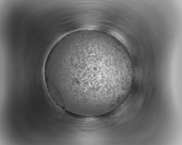 X0000088441283200706051241