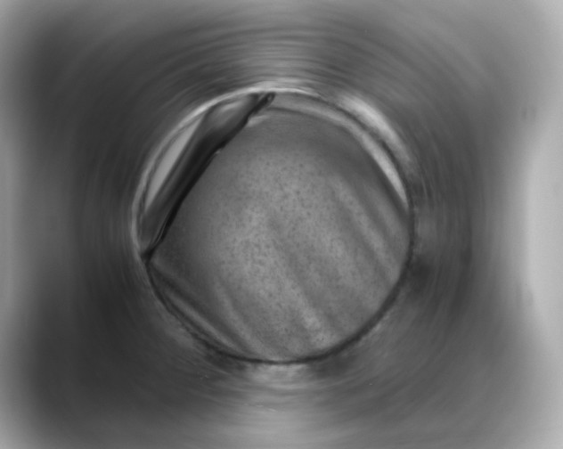 X0000088441284200706051241
