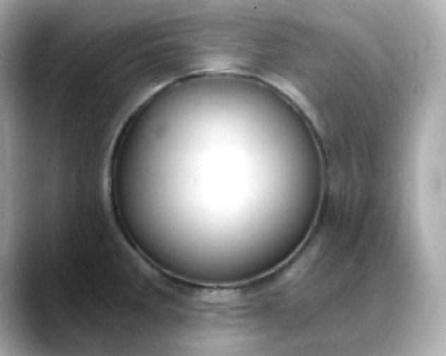 X0000088441285200706051241