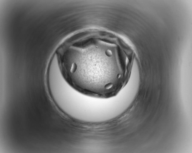 X0000088441287200706051241