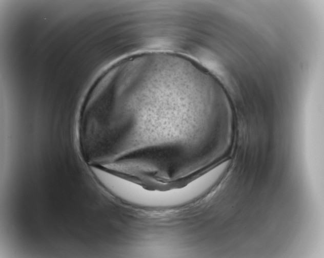 X0000088441288200706051241