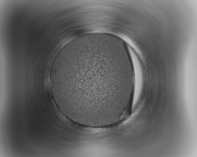 X0000088441289200706051241