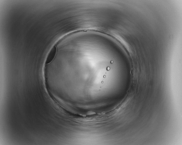 X0000088441291200706051241