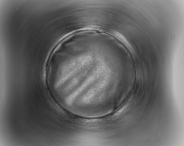 X0000088441292200706051241