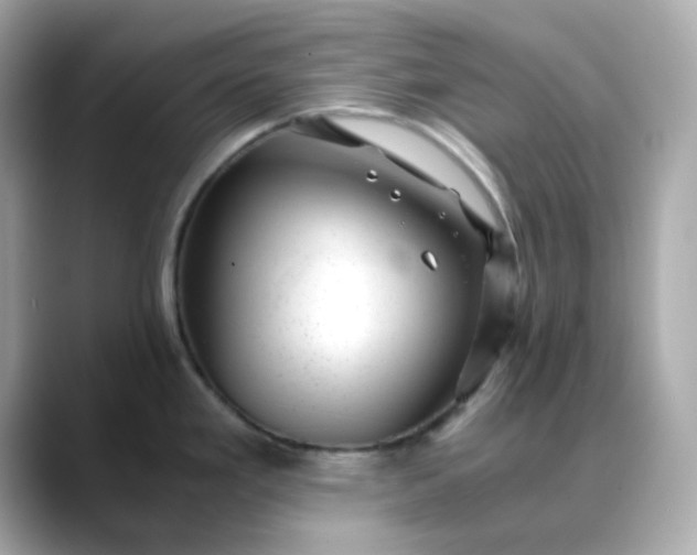 X0000088441293200706051241