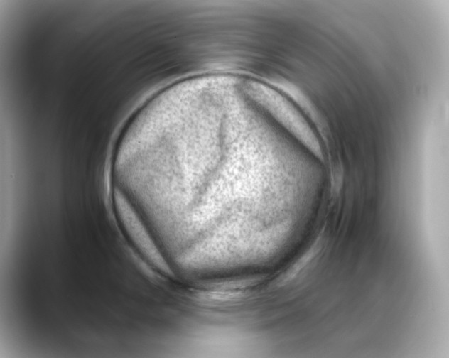 X0000088441294200706051241