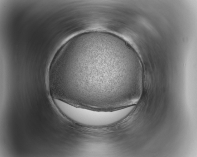 X0000088441295200706051241