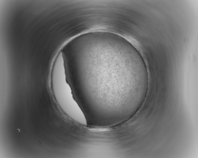 X0000088441296200706051241