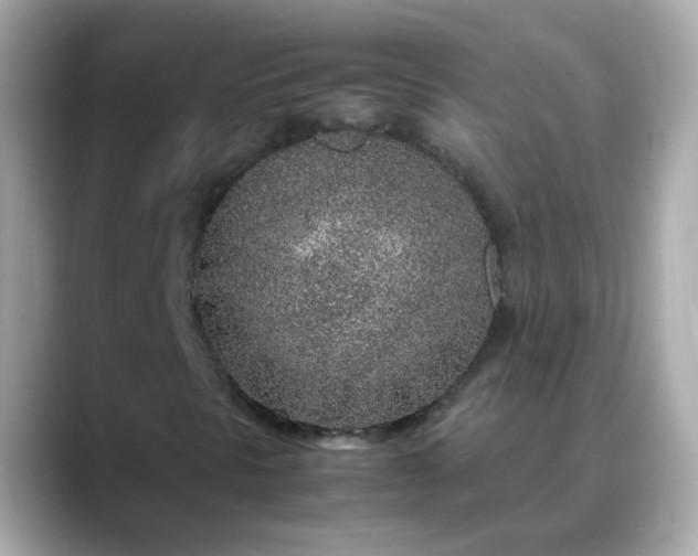 X0000088441297200706051241