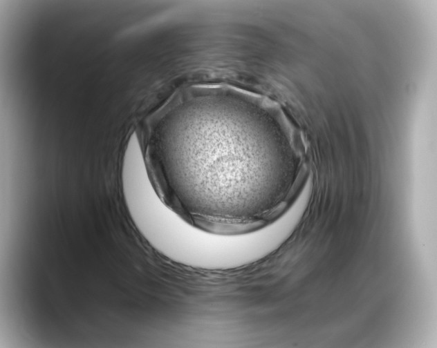 X0000088441298200706051241