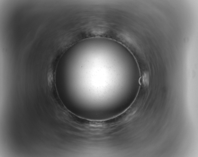 X0000088441299200706051241