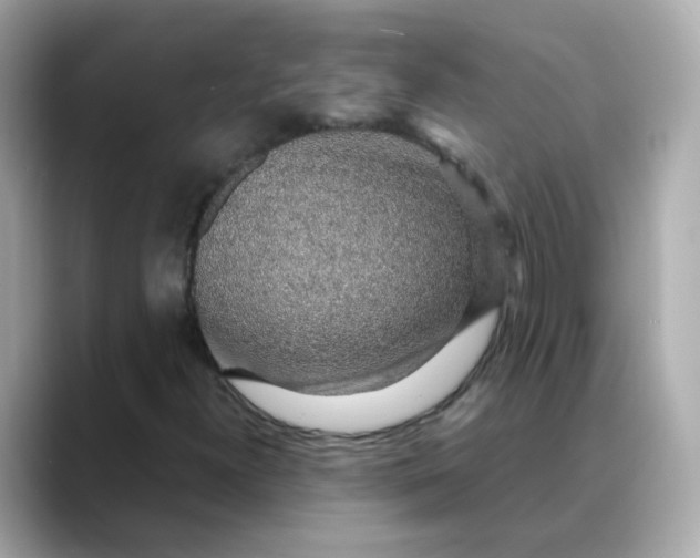 X0000088441300200706051241