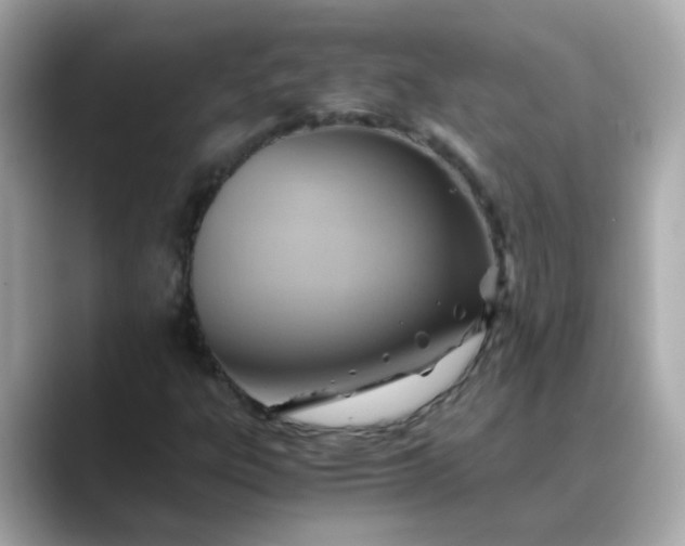 X0000088441303200706051241