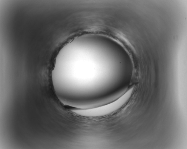 X0000088441304200706051241
