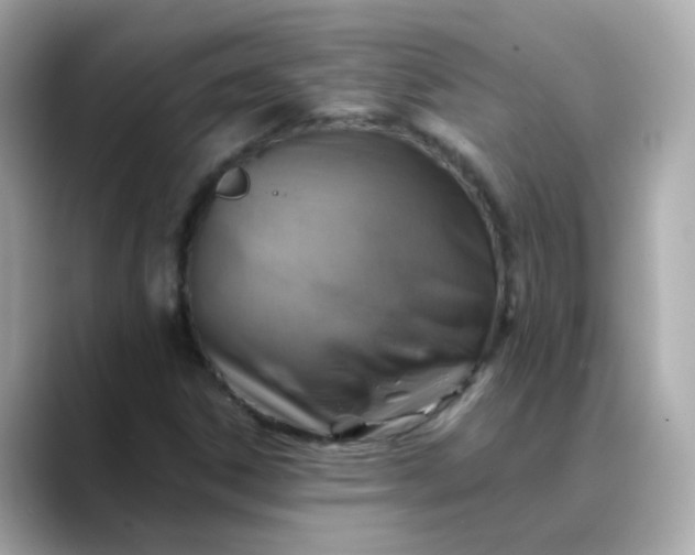 X0000088441306200706051241