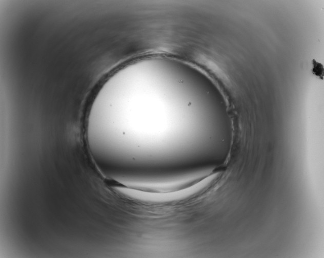 X0000088441308200706051241