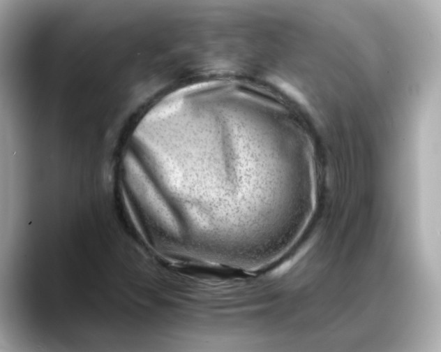 X0000088441309200706051241