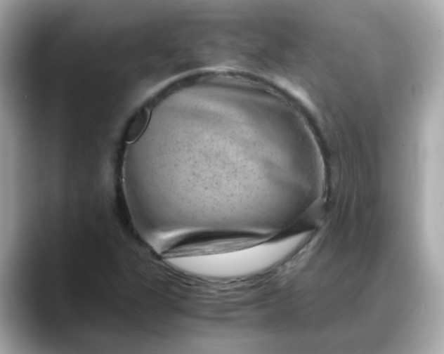 X0000088441311200706051241