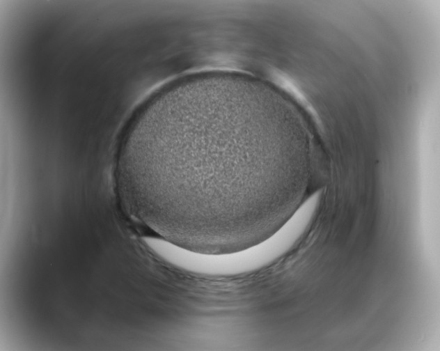 X0000088441312200706051241