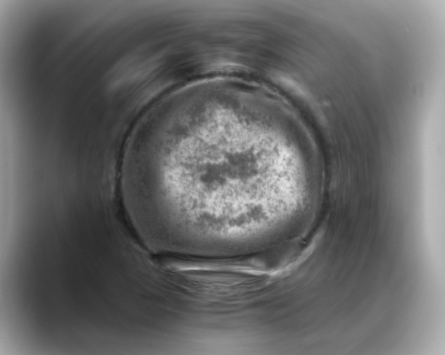X0000088441313200706051241