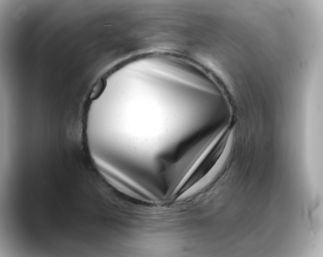 X0000088441316200706051241