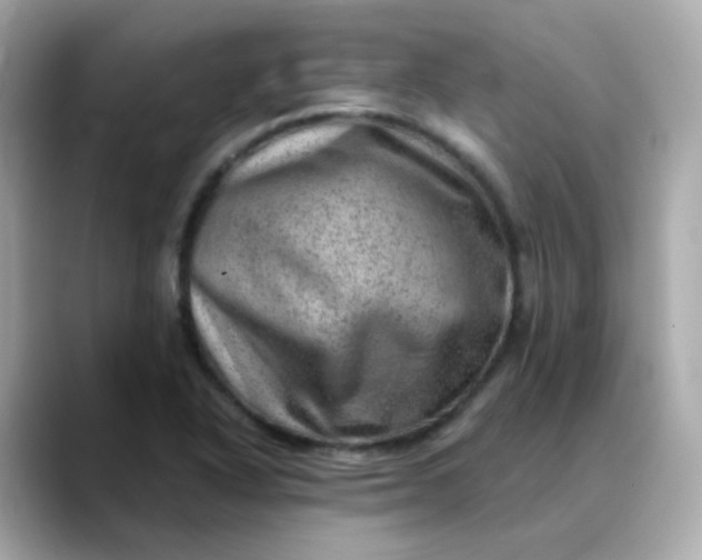 X0000088441318200706051241