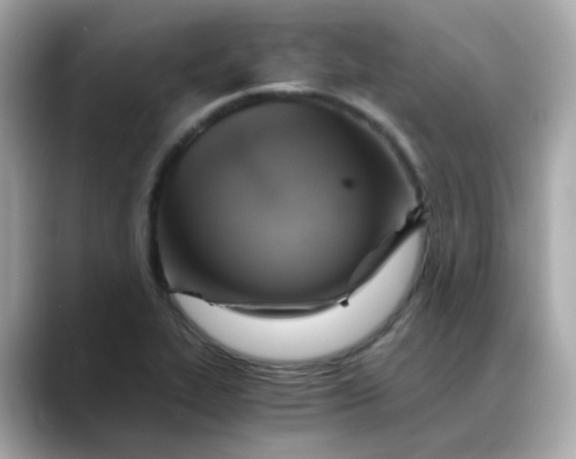 X0000088441319200706051241