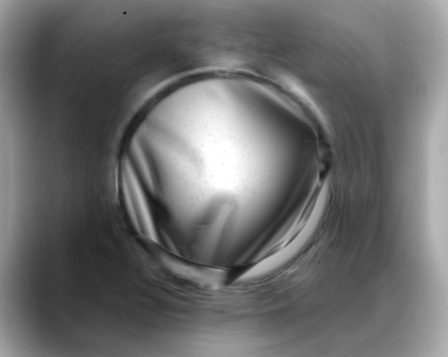 X0000088441320200706051241