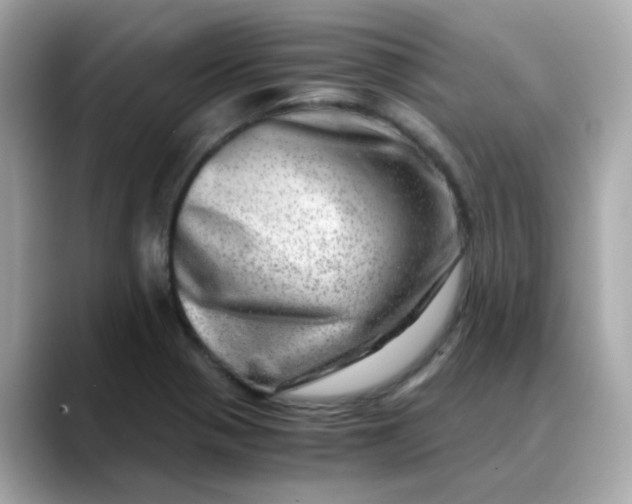 X0000088441321200706051241