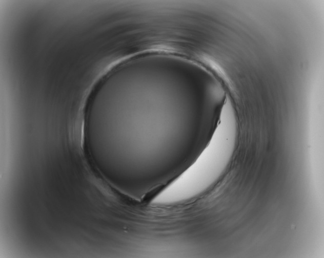 X0000088441323200706051241