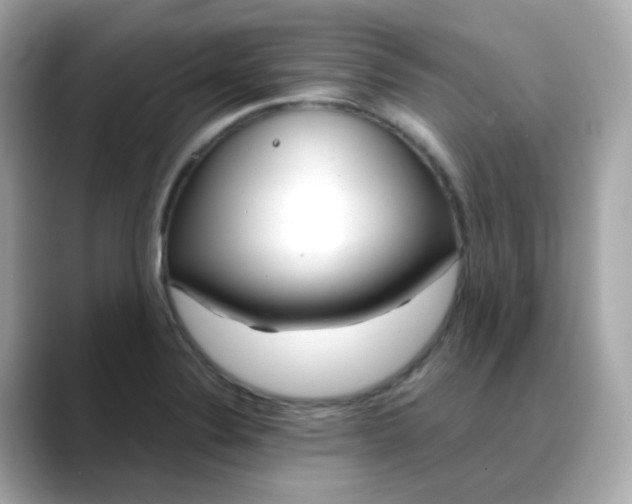 X0000088441324200706051241