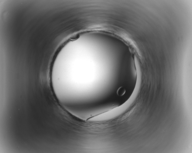 X0000088441328200706051241