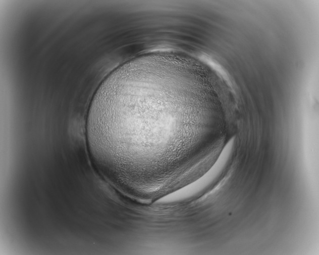 X0000088441329200706051241