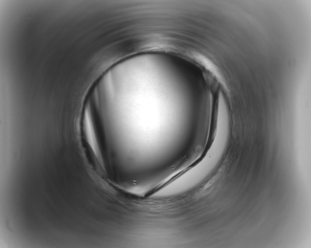 X0000088441330200706051241
