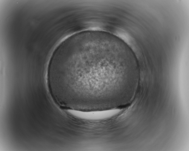 X0000088441331200706051241