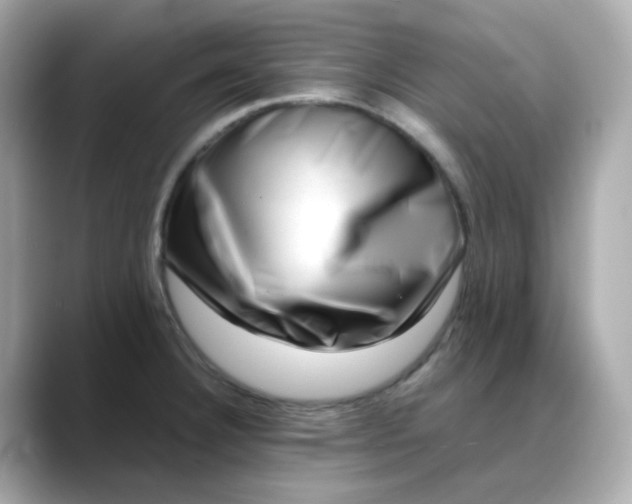 X0000088441332200706051241