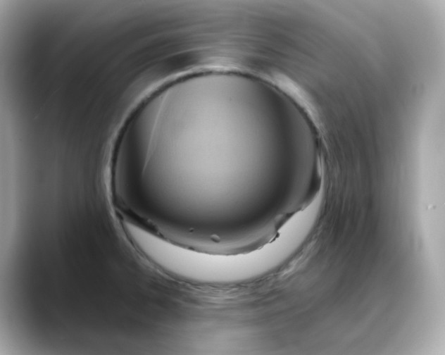X0000088441334200706051241