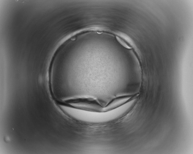 X0000088441335200706051241