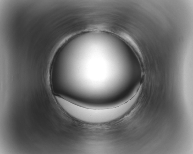 X0000088441336200706051241