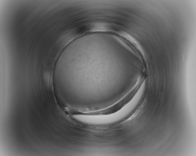 X0000088441337200706051241