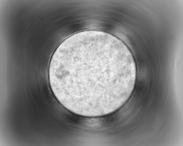 X0000088441338200706051241