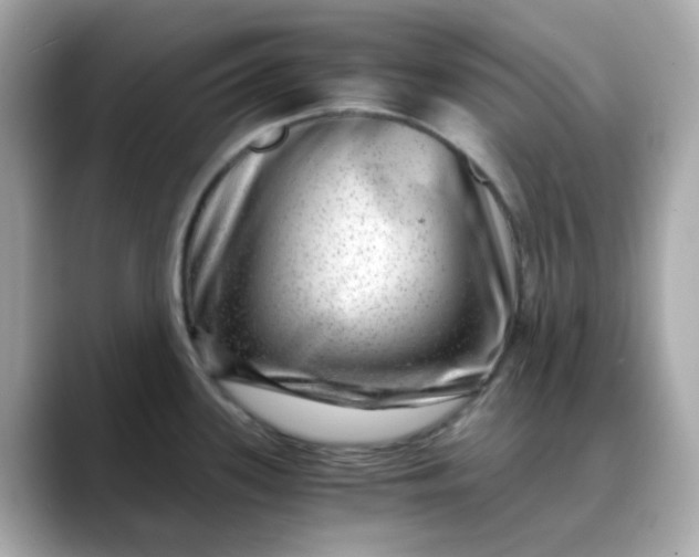 X0000088441339200706051241