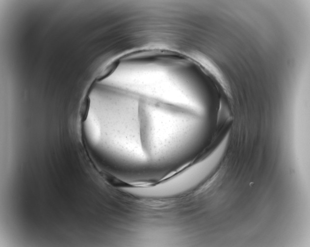 X0000088441340200706051241