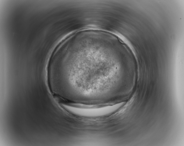 X0000088441341200706051241