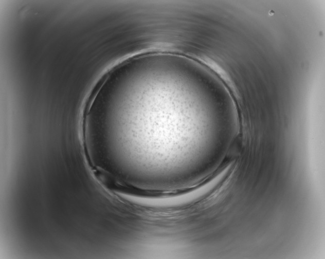 X0000088441342200706051241