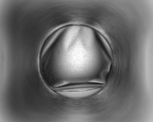 X0000088441343200706051241