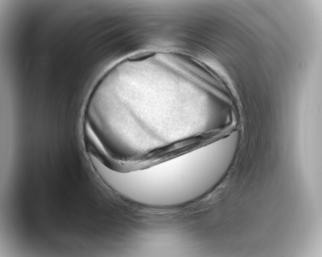 X0000088441344200706051241