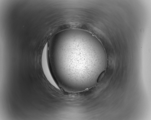 X0000088441346200706051241