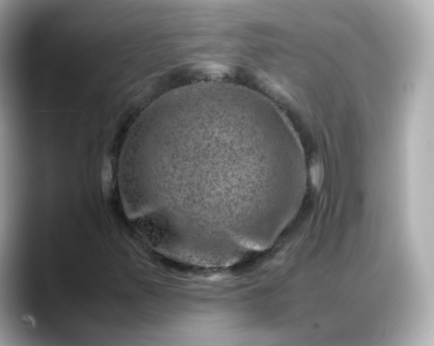 X0000088441347200706051241