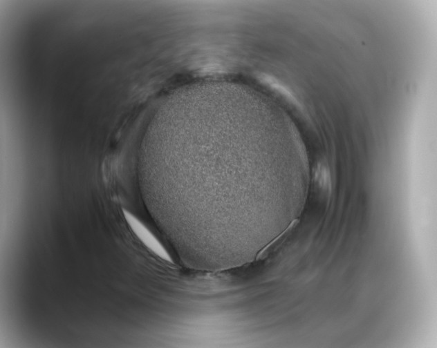 X0000088441348200706051241
